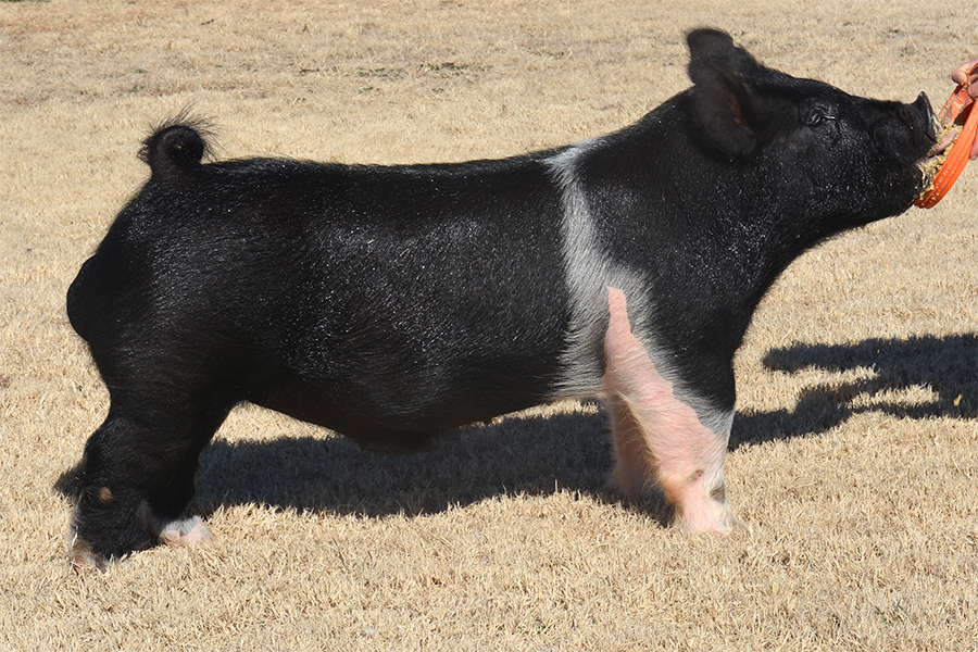 peoplehelpingpeople_cr People Helping People