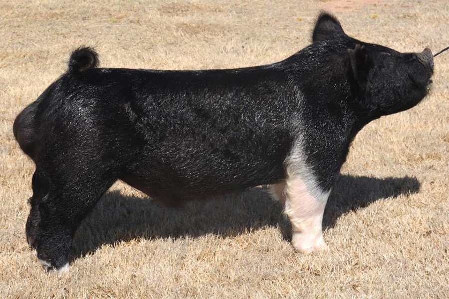 keepgoing Keep Going