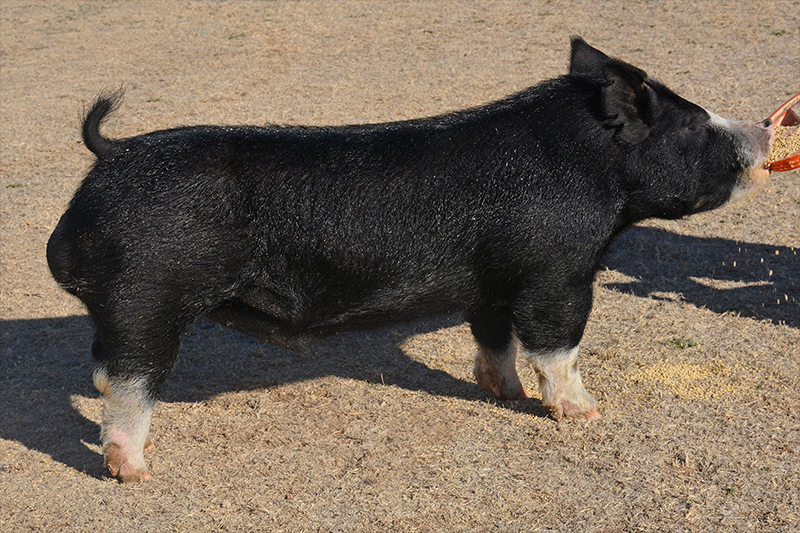 abouttime About Time