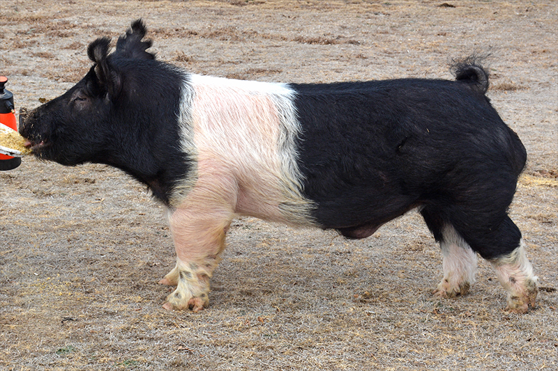 benice_21820_cr Be Nice