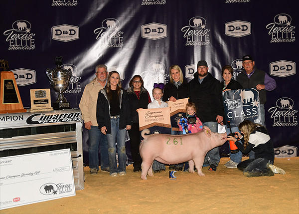 Supreme Champion Gilt Texas Elite